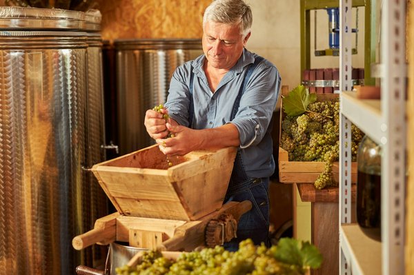 Découverte du domaine figuière, un joyau viticole en provence